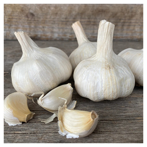 Bulbes d'ail frais biologiques Arôme riche de qualité supérieure Parfait pour l'assaisonnement de la cuisine et les bienfaits pour la santé dans les repas - Product Image 1