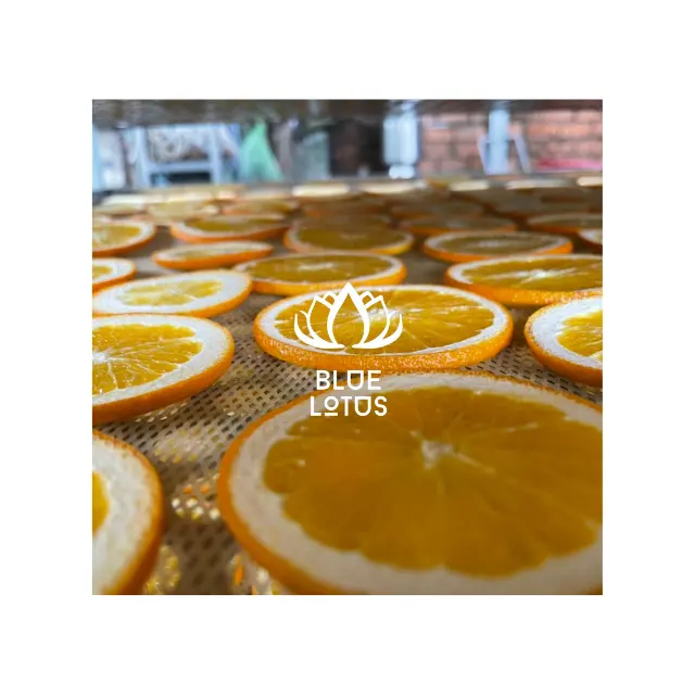 Giá bán buôn Việt Nam khô Slice Orange sản phẩm detox trái cây 2024 màu xanh sen