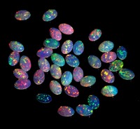 Opale d'Éthiopie Cabochon 4x6 mm 100% Naturelle de Haute Qualité Certifiée par un tiers 0,5-2 Carats Effet Feu Éclatant Vente en Gros