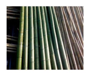 Poteau de canne en bambou en gros écologique de haute qualité matériau de bambou naturel approvisionnement d'exportation directe d'usine du Vietnam - Product Image 4