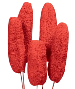 Luffa esponja calabaza popurrí rebanadas para decoración del hogar para el Día de San Valentín graduación Año Nuevo chino Año Nuevo festividades de Pascua - Product Image 1