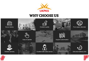 Generador Diésel Silencioso de 20kw, 12v/24v CC, Arranque Eléctrico, 50/60hz - Product Image 6