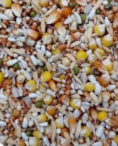 Wholesale Premium <b>Pigeon</b> <b>Feed</b> Mix | Racing <b>Pigeon</b> Food | OEM Private Label Available - Product Image 1