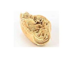 Tripes de boeuf congelées halal de bonne qualité/boeuf disponible transformé congelé boeuf alvéolé bonne qualité disponible à la vente - Product Image 4