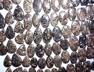 100% cabujones de ágata Turritella naturales increíble ágata Turritella semipreciosa venta al por mayor energía curativa piedras preciosas sueltas caídas - Product Image 5