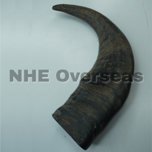 Las golosinas de larga duración para masticar perros con cuerno de búfalo mantienen los dientes de los perros limpios, fuertes y saludables, adecuados para todas las razas por NHE Overseas - Product Image 5