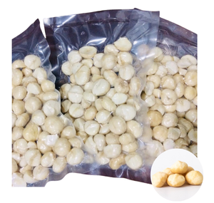Núcleos de Macadamia Tostados de la Mejor Calidad, Precio al por Mayor, Venta al por Mayor, Proveedor de Vietnam, Varios Tamaños de Bolsa - Product Image 1