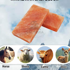 Ladrillos y azulejos de sal del Himalaya natural de alta calidad Ladrillos de sal del Himalaya más vendidos para superventas - Product Image 6