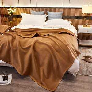 2026 Factory Custom Logo Knitted Eco-Friendly Woven Solid 100% Acrylic Hotel Sherpa <b>Fleece</b> Throw Blankets All-Season <b>Double</b> - Product Image 1