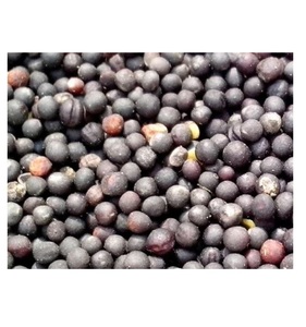 Prix les plus bas Vente en gros de graines de colza et de canola Graines de colza et de canola à vendre - Product Image 1