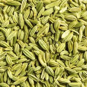 99% tinh khiết tươi đến thì là hạt giống giá bán buôn thì là duy nhất gia vị & các loại thảo mộc từ Ấn Độ