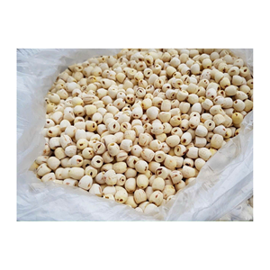 เมล็ดบัวคุณภาพเยี่ยมเมล็ดบัวสีดำและสีขาวส่งมาจากเวียดนาม - Product Image 6