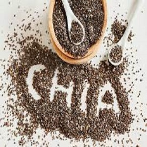 Graines de Chia MKJ de Haute Qualité à Vendre Durée de Conservation de 24 Mois Utilisation pour le Jardinage - Product Image 4