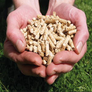 Vente en gros de litière pour chat en bois de pin naturel sans poussière granulés de bois/pellets de bois disponibles à la vente à un prix abordable - Product Image 4