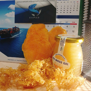 All-Natural Premium Seamoss Gel Seaweed Supplement Organic Fresh Cultivation with Flavor for Optimal Health - Product Image 6