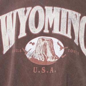 T-shirt Hip Hop surdimensionné en polyester/coton épais pour hommes Logo de marque personnalisé couleur marron respirant de haute qualité - Product Image 2