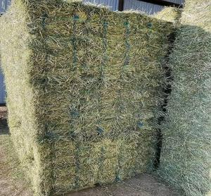 Compre Heno de Alfalfa para Alimentación Animal a Granel de Francia con 12 Meses de Vida Útil, 100% Libre de Humedad para Alimentar Ganado, Caballos y Animales Pequeños - Product Image 5