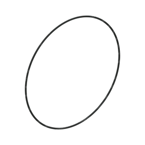 Anillo de retención ORVW02 para ORVW02 TR-60SN, embrague cautivo 09D, embrague cautivo - Product Image 1