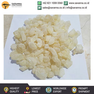 Proveedor al por mayor de calidad excepcional AA, A, B, ABX, AB, ABC, AC y CD Dammar disponible a un precio de mercado razonable - Product Image 3