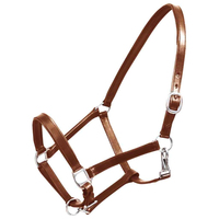 Bridon et étrier de cheval en cuir de haute qualité, style selle Awaisi, pour l'extérieur, fabrication OEM/ODM acceptée, personnalisation possible