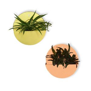 Maceta Colgante de Metal Dorado Rosa, Decoración de Pared para Exterior, Ventana, Jardín, Hogar, Patio, Hecho en India - Product Image 4