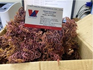 สาหร่ายทะเลออร์แกนิกจากเวียดนาม |   สะอาด ตากแห้งด้วยแสงแดด |   จำหน่ายสินค้าเพื่อสุขภาพจำนวนมาก - Product Image 5