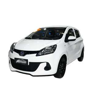 Oferta Especial 2023: Mini Vehículo Eléctrico Puro de 75 HP con Carga Rápida, Edición Nacional, Usado y Nuevo - Product Image 1