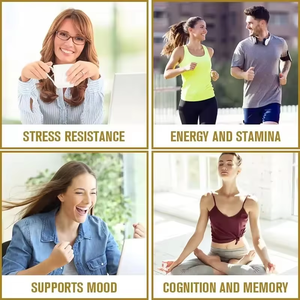 Servicio de fabricación OEM Suplemento de hierbas Extracto de raíz de Ashwagandha Cápsulas blandas Apoya la claridad mental Estamina y el refuerzo de energía - Product Image 5