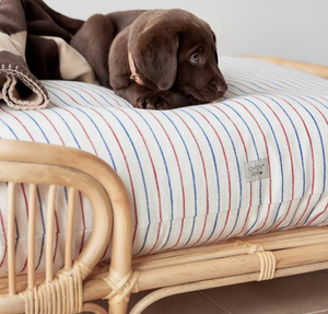 ECO Friendly Rattan Handicraft Pet Cat Dog Bed Rattan Pet Supplies Hecho en Vietnam - Product Image 4