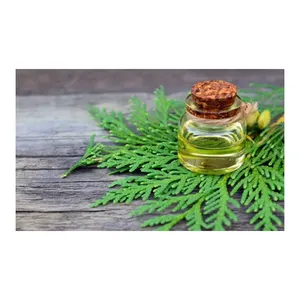 Lieferant für reines und natürliches Ätherisches Öl aus Thuja-Holz hilfreich bei Nierenproblemen vom indischen Hersteller