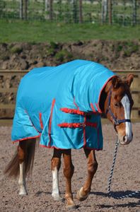 600D RIP STOP & 350g Combo Heavyweight Horse Turnout Rug Toutes les tailles 5'3 "-7'0" - Product Image 4