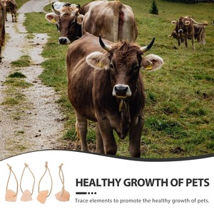 4 piezas Animal lamer sal del Himalaya bloque lámpara estilo Floral aburrimiento juguetes para caballos cabras ciervos conejos - Product Image 3