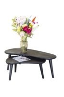 Ensemble de 2 tables basses en bois de manguier massif, finition sablée noire, design industriel moderne, forme ovale pliable, meubles de salon