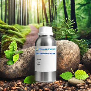 Bêta-caryophylène 1 kg, composé aromatique naturel issu de graines, pour la saveur et la fragrance, avec des notes sucrées et boisées - Product Image 1