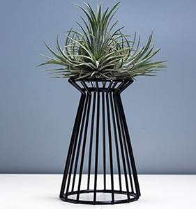 Macetas y Soportes para Macetas Redondos Únicos de Hierro con Recubrimiento en Polvo para Decoración del Hogar y Jardín, Diseño Elegante, Uso Interior/Exterior, Gran Venta - Product Image 2