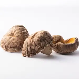 DRIED SHIITAKE MUSHROOM WITH HIGH QUALITY AND GOOD PRICE/ BY THE BEST SUPPLIER FROM VIETNAM