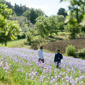 Pruneti Iris Bitter 500ml Premium Spirit emballé dans une élégante bouteille en verre 100% italien - Product Image 2