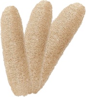 Luffa éponge gourde pot-pourri tranches pour la décoration intérieure pour la remise des diplômes de la Saint-Valentin nouvel an chinois nouvel an festivités de Pâques