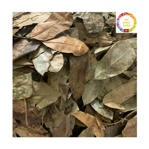 Thé de feuilles de corossol séchées du Vietnam, approvisionnement en vrac, feuilles de graviola de qualité supérieure - Product Image 6