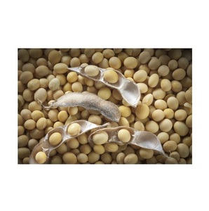 Good Quality <b>Soybeans</b> Wholesale Natural Soya Beans <b>Soybean</b> - Product Image 1