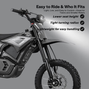 Moto électrique à moteur sans balais 48V 2500 W bon marché, performance, Valtinsu Dirk, motos tout-terrain - Product Image 5