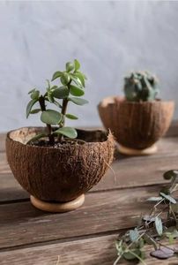 Artisanat pot de fleurs en bois souhaitant bien jardinière arrière-cour décor de jardin créatif jardinières en bois écorce pots de fleurs jardin - Product Image 5