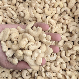 Vietnam Usine Santigo Usine Noix De Cajou Prix Au Vietnam En Gros W180 W240 Client OEM ODM Exigence - Product Image 1