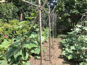 ไม้ไผ่พับได้แข็งแรงทนทานแบบเวียดนามความสูงของ7ft รั้วกลางแจ้งเป็นมิตรกับสิ่งแวดล้อม - Product Image 3