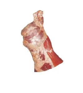 Viande de boeuf désossée, quartiers avant, fraîche et congelée, coupes de bœuf halal de qualité supérieure, approvisionnement en gros pour le marché de gros et le secteur de la restauration - Product Image 3