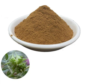 100% polvo de extracto de hoja de Tribulus Terrestris Natural puro 40% 90% saponinas Extracto de hierbas cultivadas silvestres tambor de grado alimenticio - Product Image 3