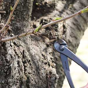 <b>Pruner</b> <b>Tree</b> Trimmer High Branch Cutter Bonsai Tools Set Stainless - Product Image 4