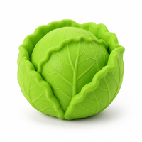 Jouet anti-stress en forme de chou, jouet sensoriel à rebond lent en plastique pour adultes, adolescents, cadeau de bureau, OEM