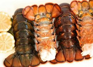 Langostas Congeladas de Nueva Zelanda de Alta Calidad, Producto de Mariscos Frescos Enteros para Exportación Internacional y Suministro a Granel - Product Image 6