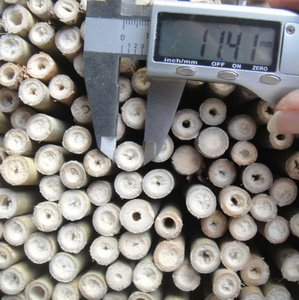 Estacas de Bambú para Jardinería, Postes de Bambú para Enrejado, Longitud Desde 1,5 m-3m, Diámetro 1cm-2cm Origen Vietnam - Product Image 3